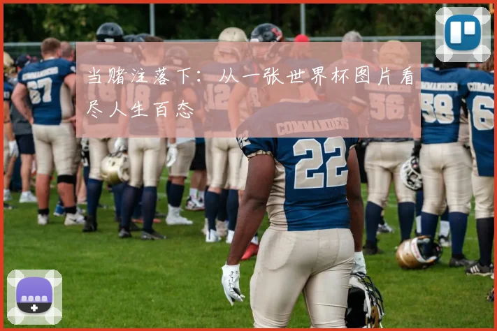 当赌注落下：从一张世界杯图片看尽人生百态